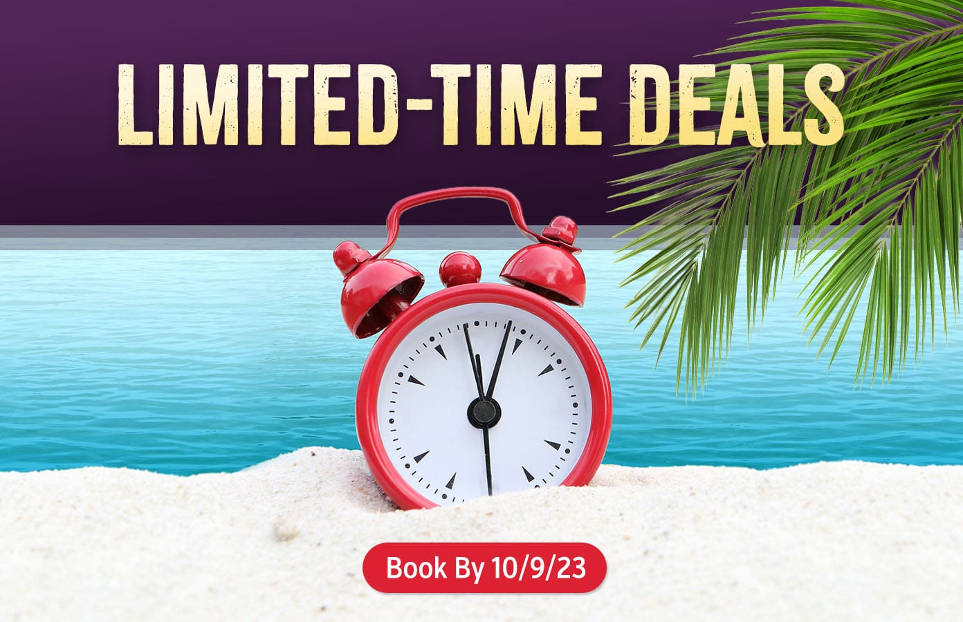 Limited-Time Deals. Book by 10/9/23