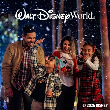 walt disney world
