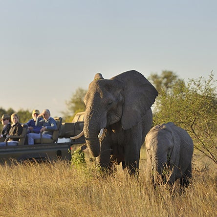 South Africa or Botswana and Victoria Falls
