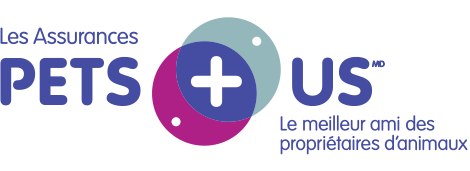 Les Assurances Pets + Us. Le meilleur ami des propriétaires d'animaux.