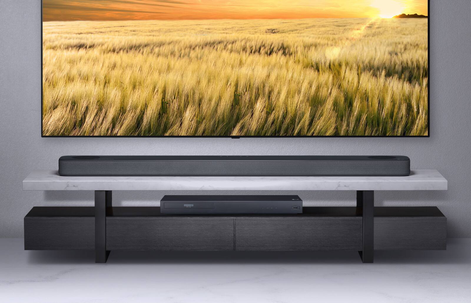 LG Brand Showcase Costco