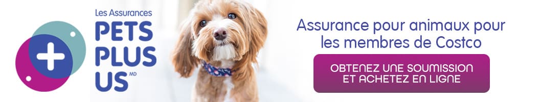 Pets plus us. Une assurance pour animaux pour les membres de Costco. Obtenez une soumission et achetez en ligne