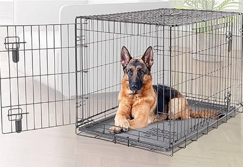 Crates, Carriers & Kennels