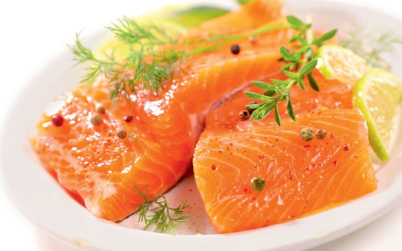 salmon