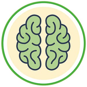 illustration of a brain