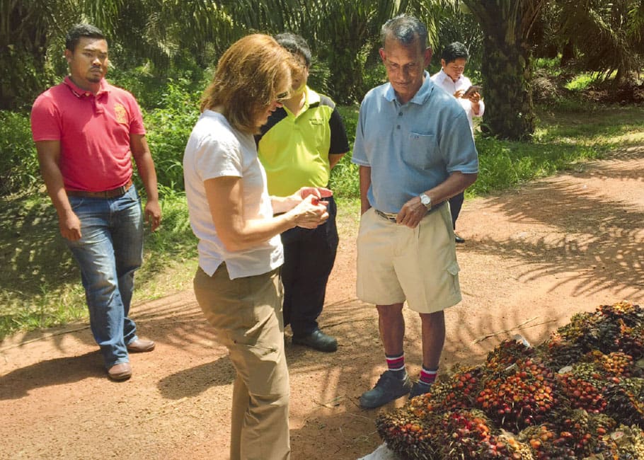 group of people looking at palm oil fruit 