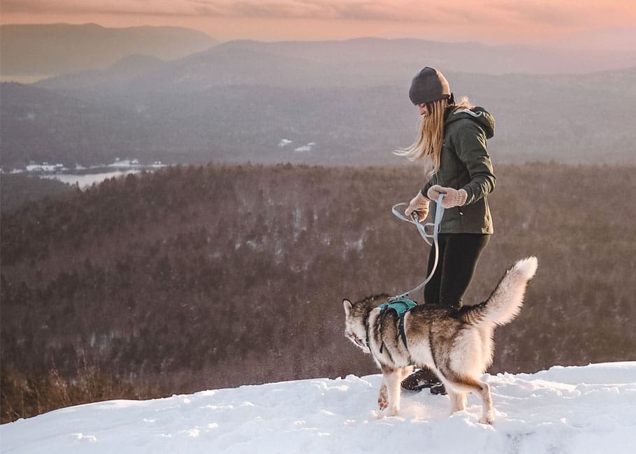 woman with a dog in the snow