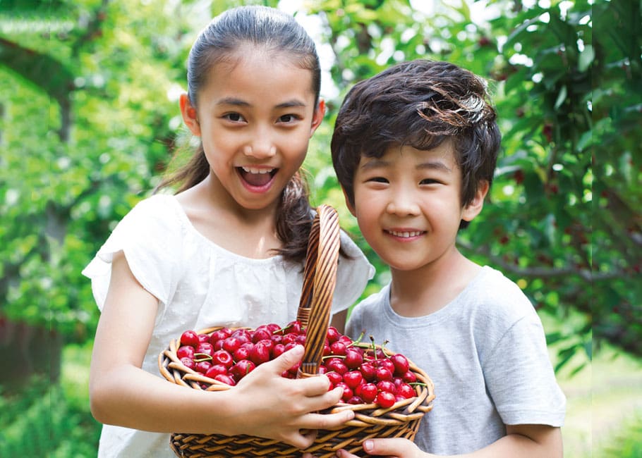 kids holding a basket of cherries