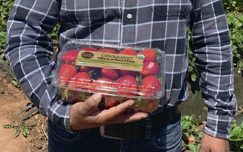 a man holding a package of strawberries