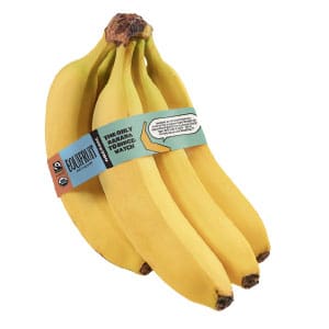 image of a banana