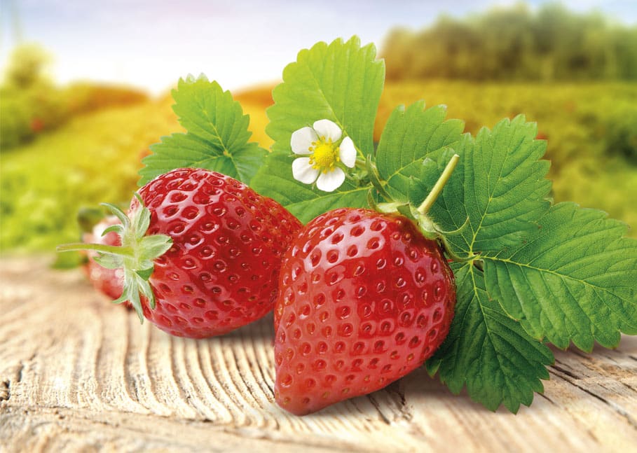 strawberries