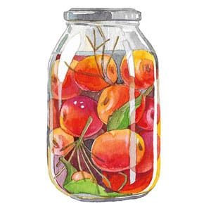 illustration of a canned fruit