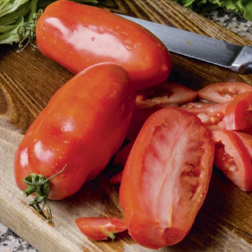tomatoes