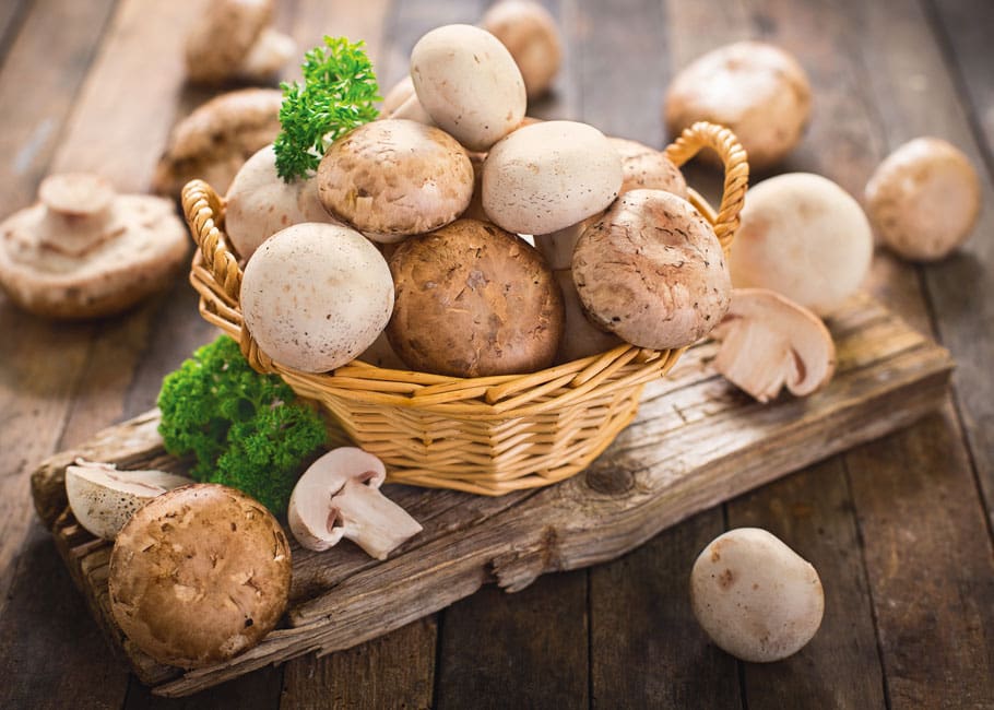 basket of mushrooms