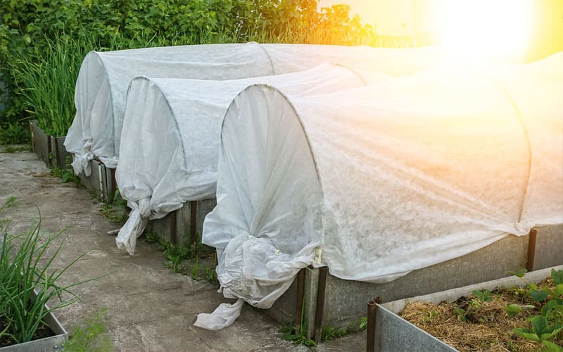 plant beds covered in plastic