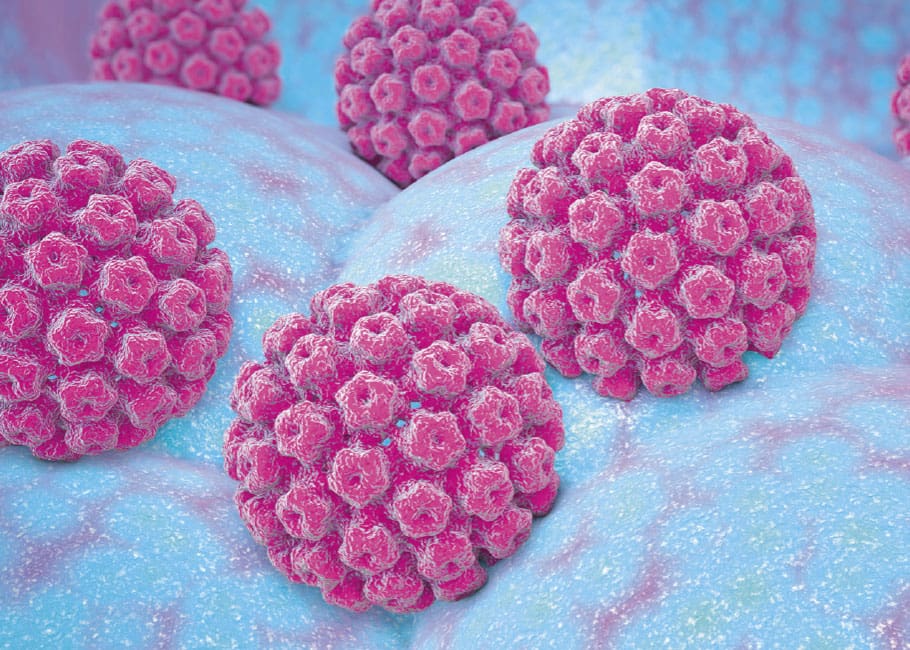 illustration of HPV virus