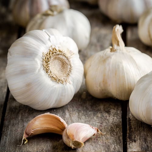 garlic bulbs