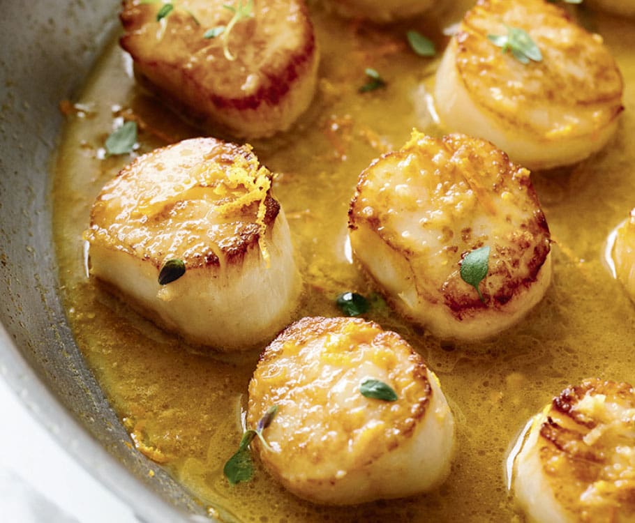 scallops