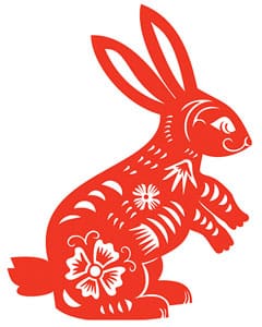 illustration of rabbit