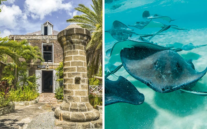 old building and stingray sharks