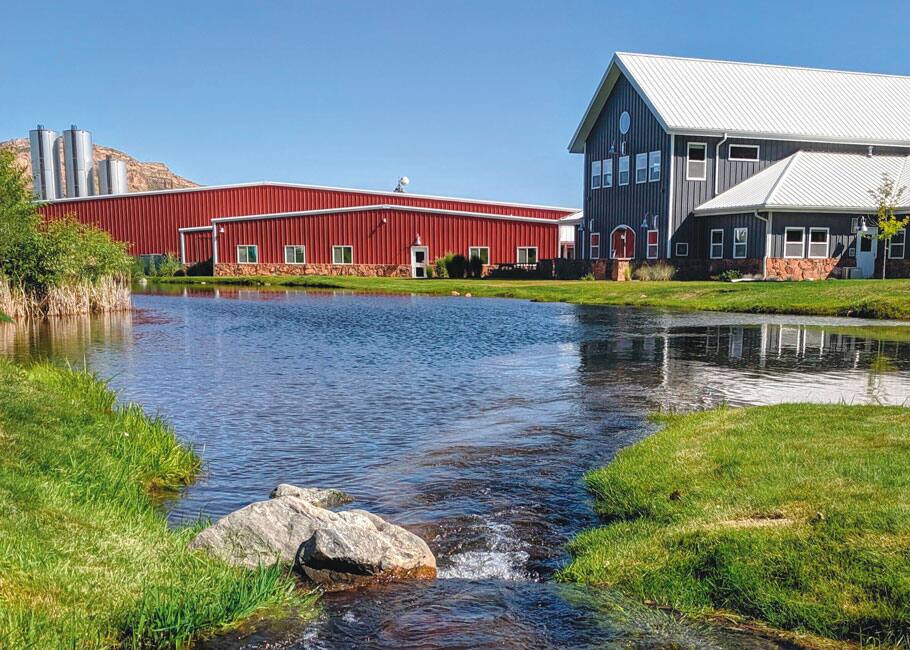 buildings on river