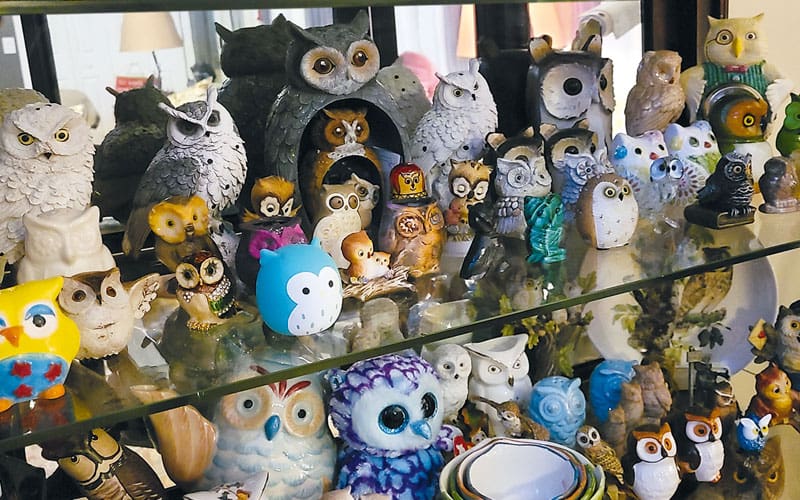 owls