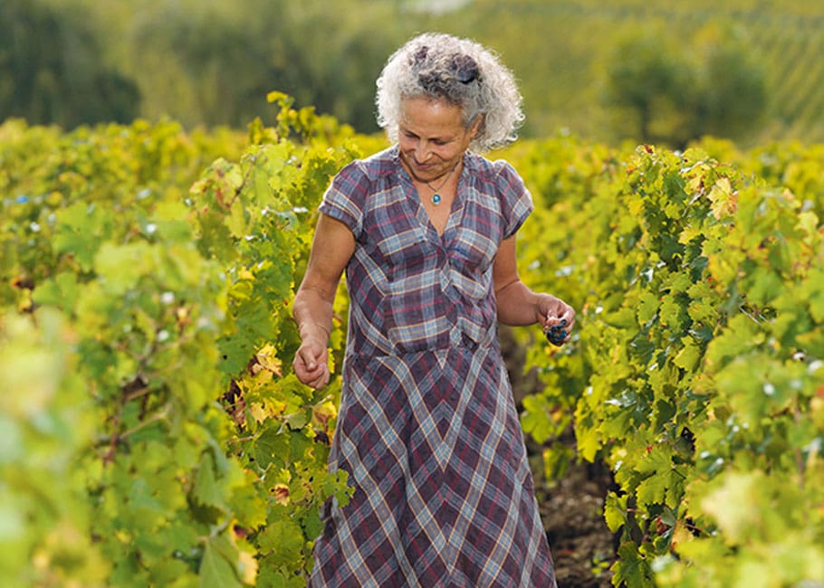 woman in a vineyard