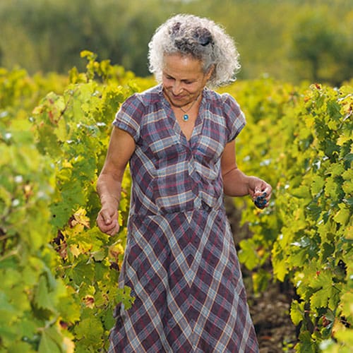 a woman in a vineyard