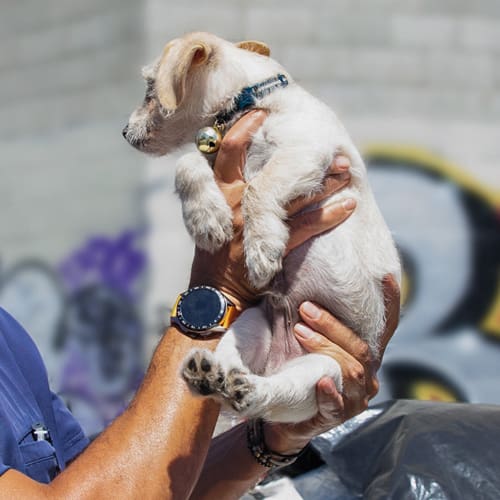 a man holding a puppy
