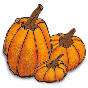 illustration of book