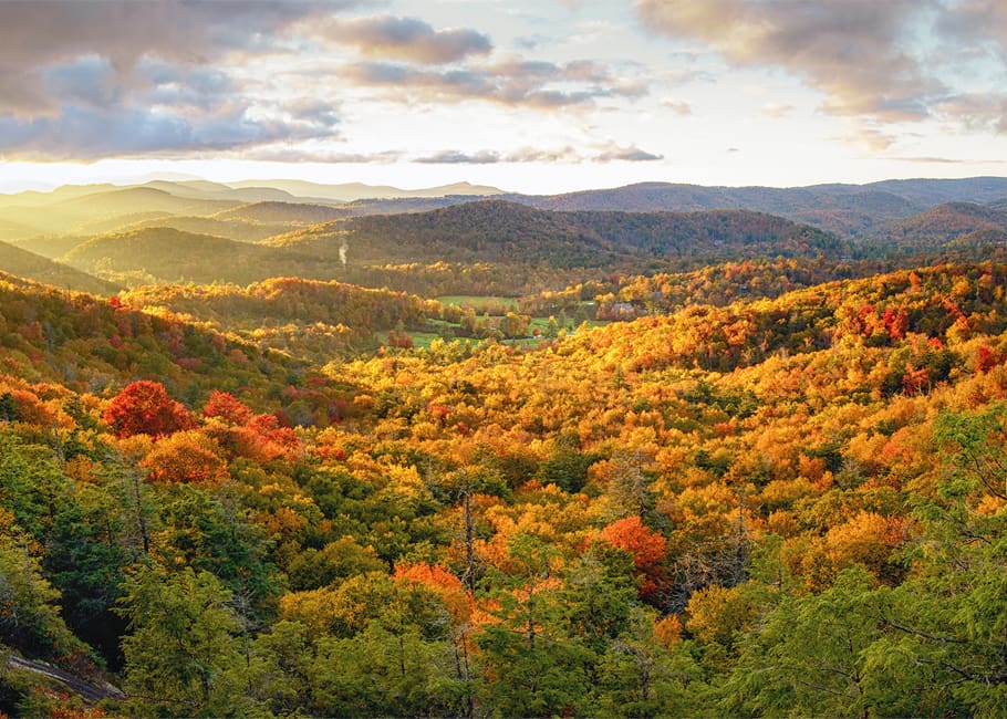 grandmother reading to granddaughter
