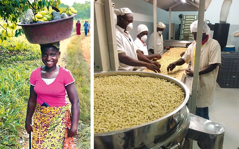A woman from an African farming community; workers sort through cashews in a processing facility in Africa.