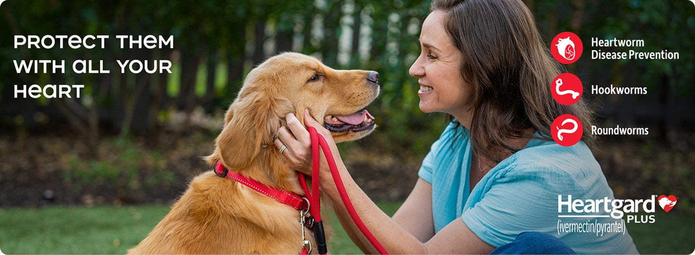 Protect them with all your heart. Heartgard&reg; Plus (ivermectin/pyrantel) for Heartworm Disease Prevention, Hookworms, and Roundworms.