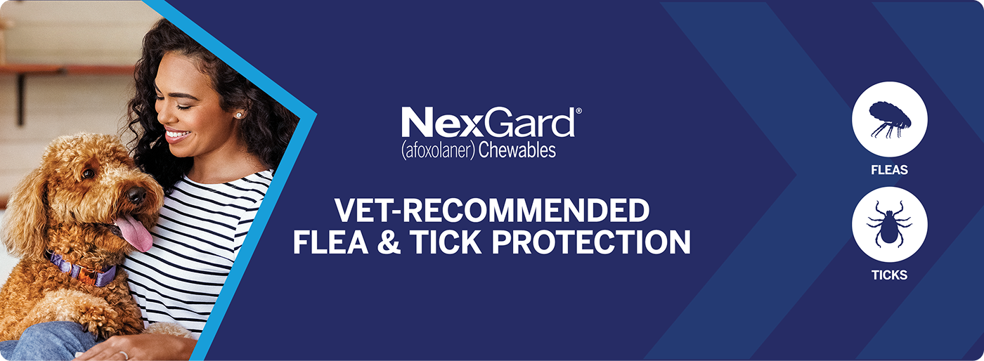 NexGard® (afoxolaner) Chewables; vet-recommended flea & tick protection