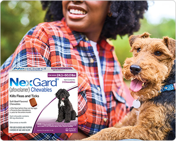 NexGard® (afoxolaner) Chewables; kills fleas and ticks