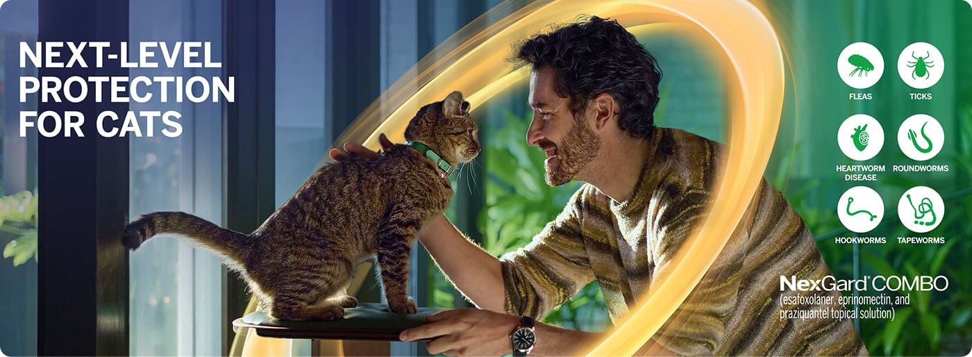 Next-level protection for cats with NexGard® COMBO (esafoxolaner, eprinomectin, and praziquantel topical solution)