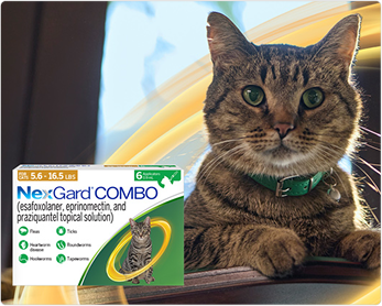 NexGard® COMBO (esafoxolaner, eprinomectin, and praziquantel topical solution)