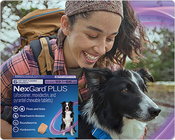 NexGard® PLUS (afoxolaner, moxidectin, and pyrantel chewable tablets)