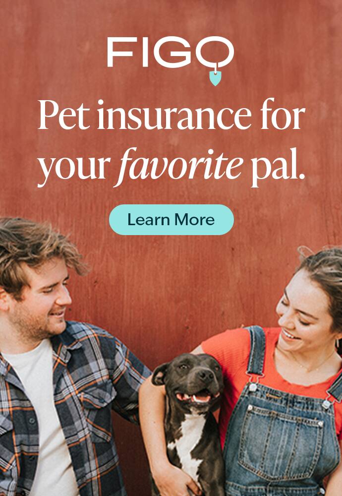 Pet Pharmacy & Medications Costco