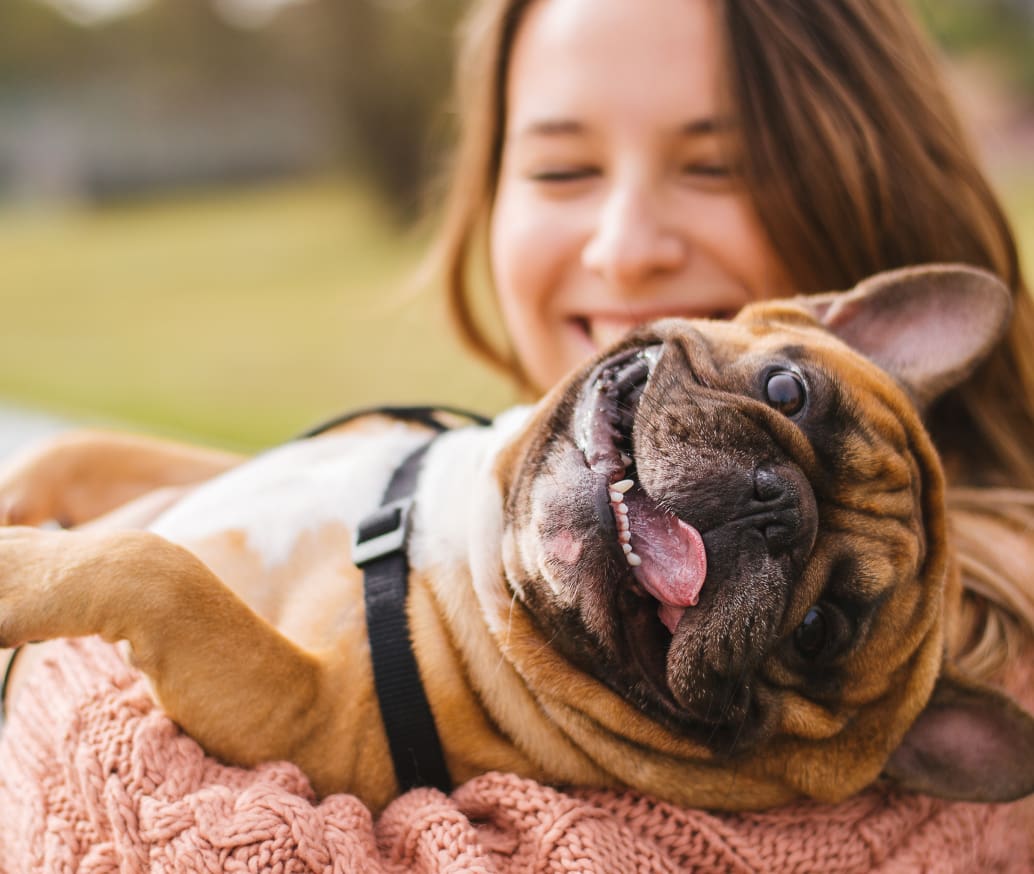 Pet Pharmacy & Medications Costco