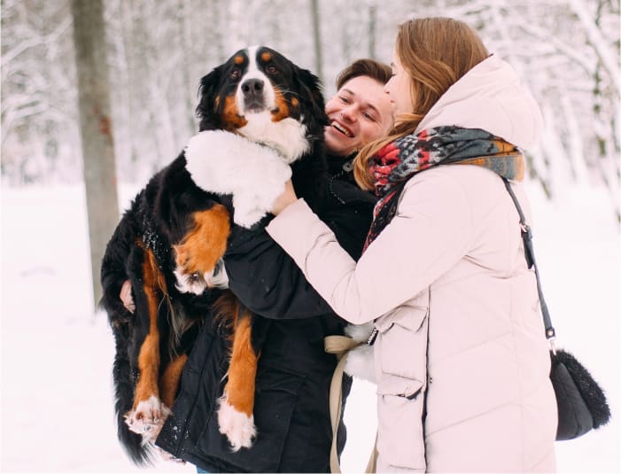 Costco Services for Members