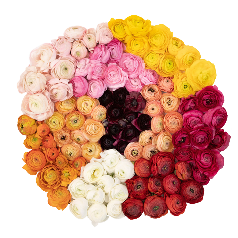 Floral & Gift Baskets