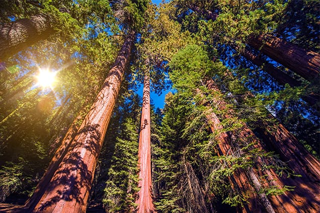U.S. National Parks