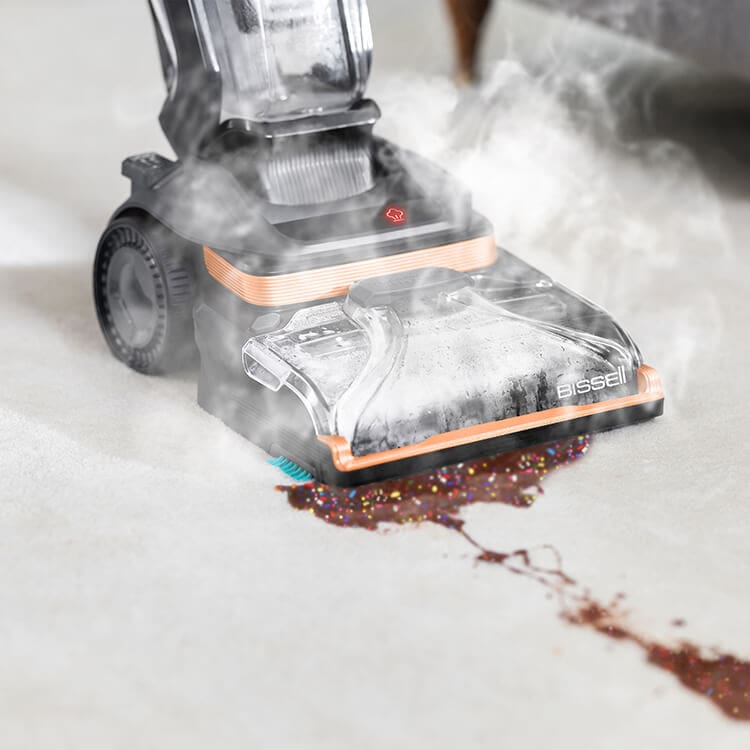 Steam Cleaners