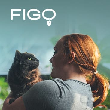 FIGO Pet Insurance